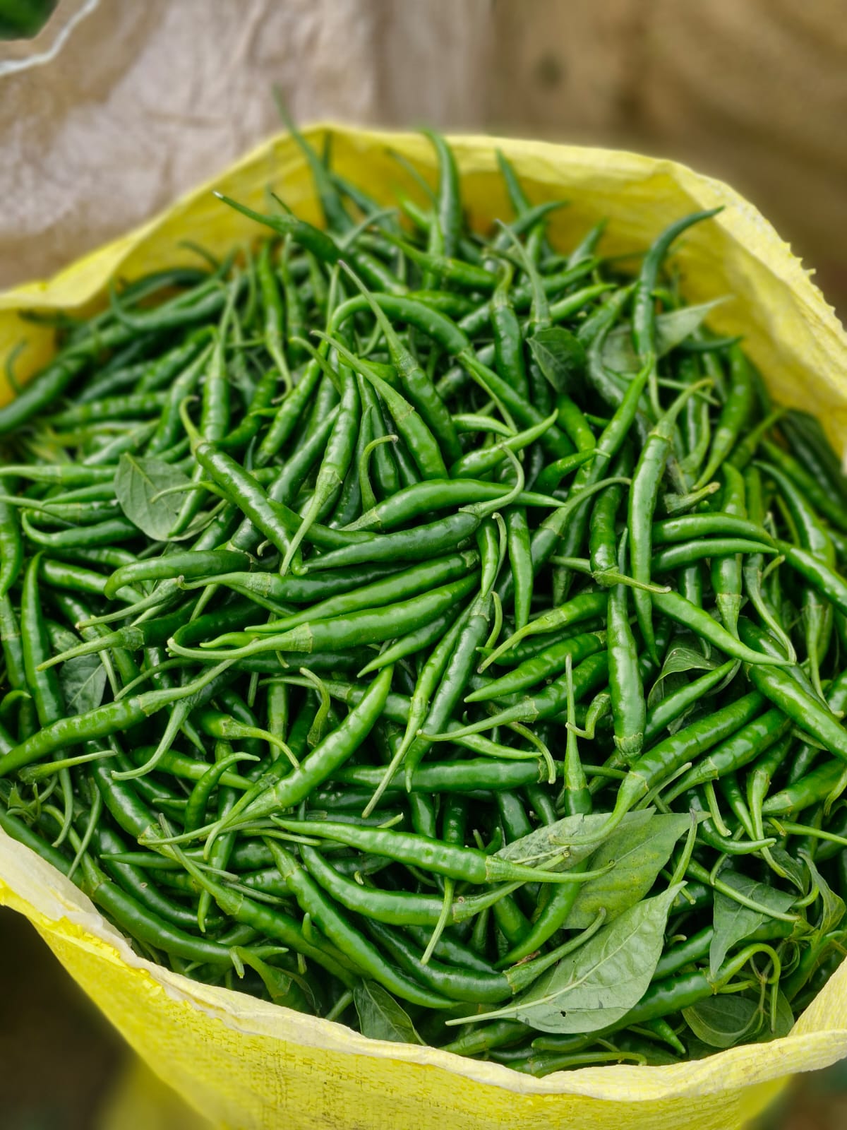 Fresh Green Chillies