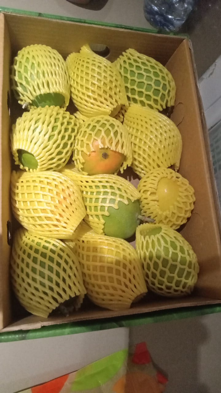 Fresh Mangoes